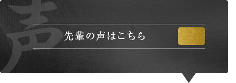 bnrhalf_voice_off